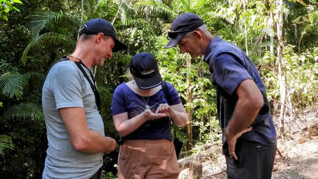 Guide_Training Kakadu.webp